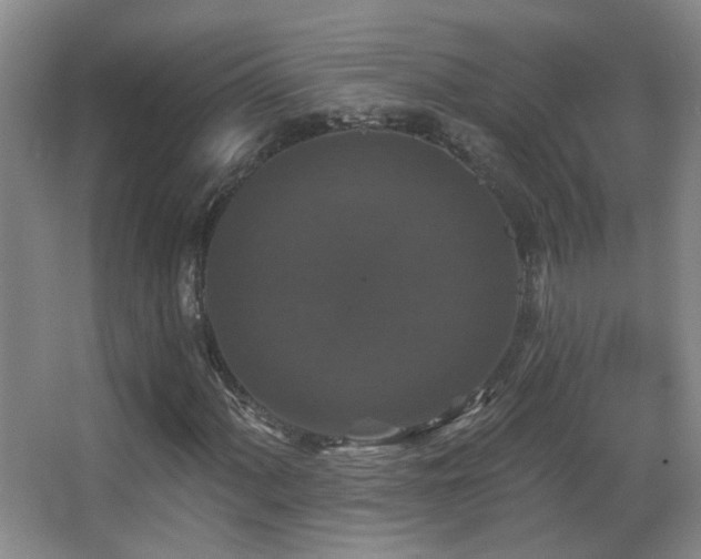 X0000066971060200603241204