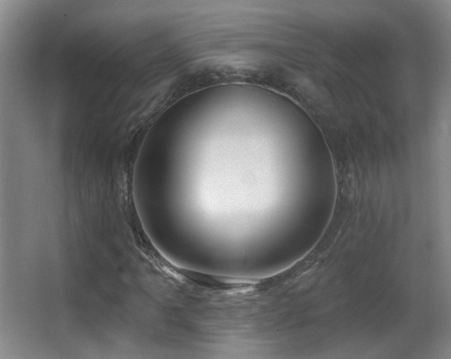 X0000066971061200603241204