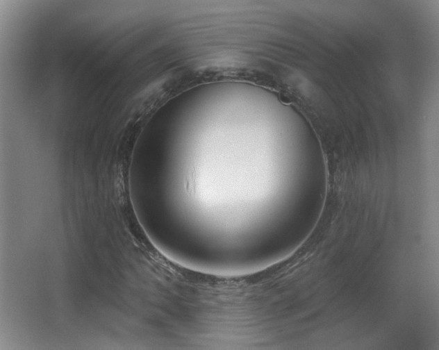 X0000066971062200603241204