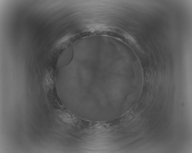 X0000066971063200603241204