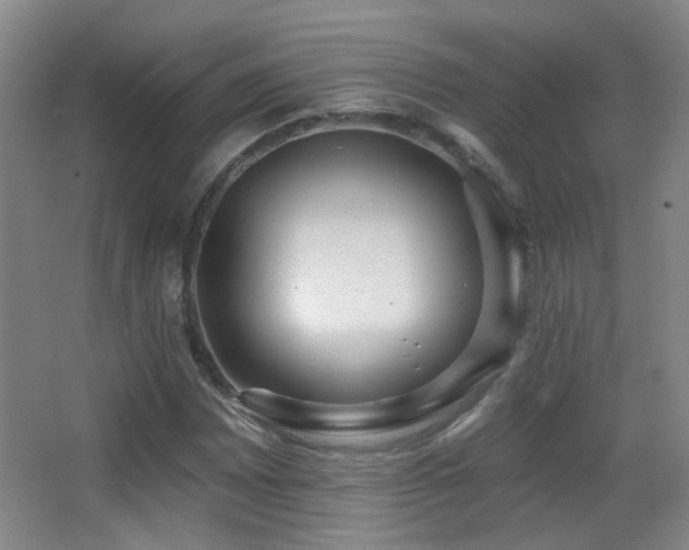 X0000066971065200603241204