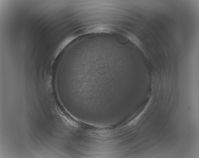 X0000066971066200603241204