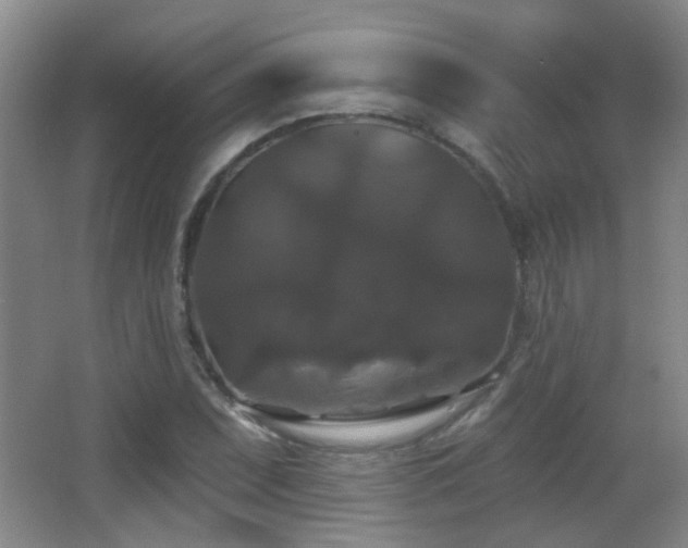 X0000066971071200603241204