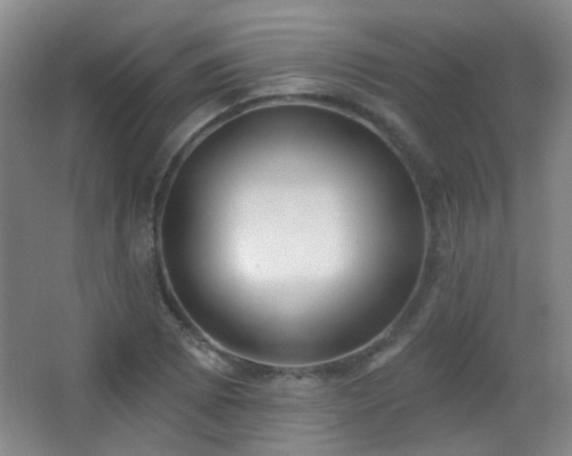 X0000066971073200603241204