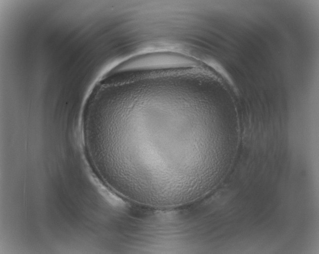 X0000066971080200603241204