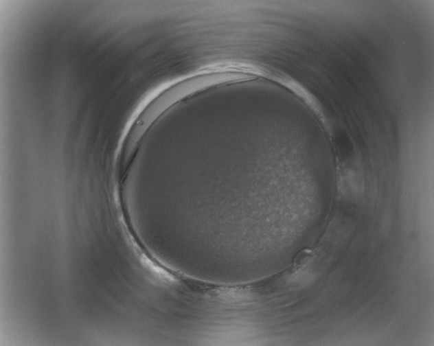 X0000066971102200603241204