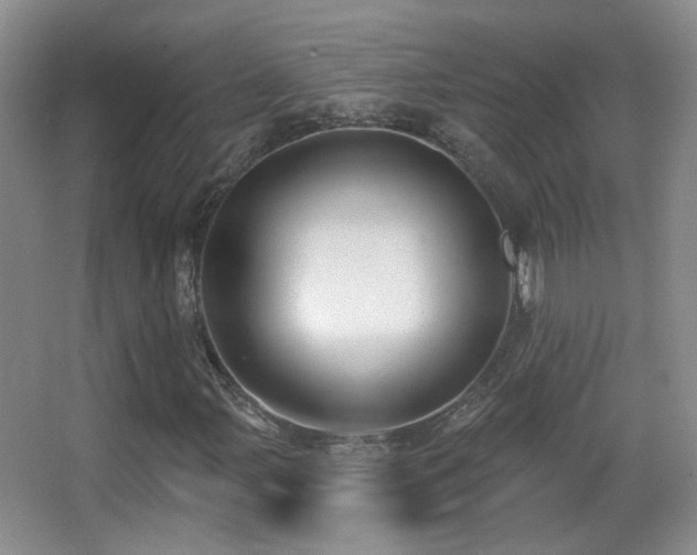 X0000066971107200603241203