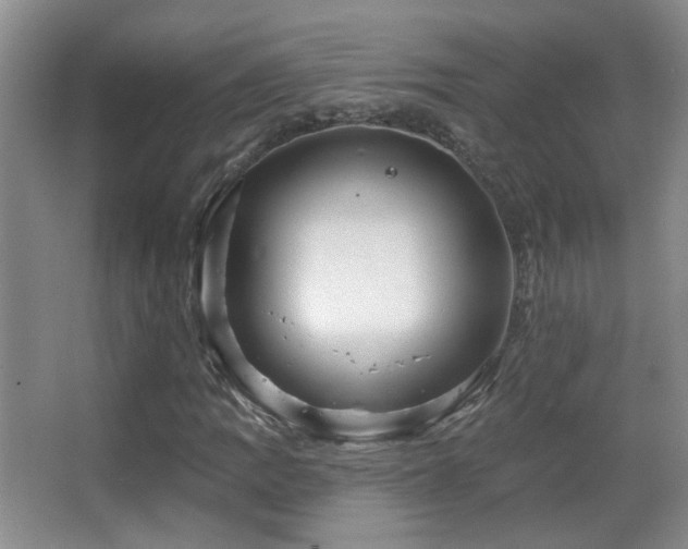 X0000066971109200603241203
