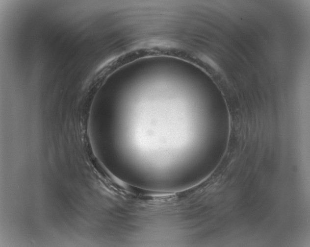 X0000066971112200603241203