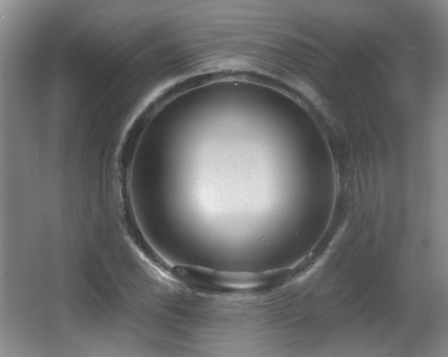 X0000066971118200603241203