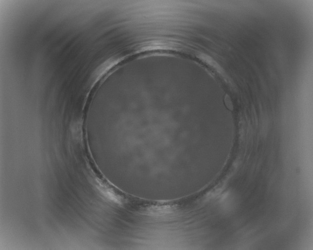 X0000066971121200603241203