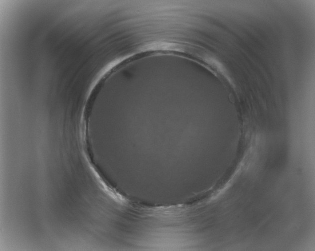 X0000066971125200603241203