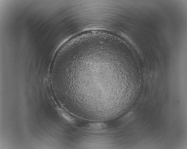 X0000066971129200603241203