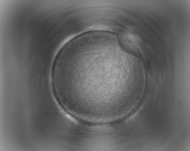 X0000066971133200603241203