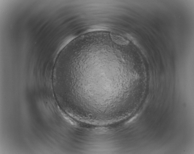 X0000066971137200603241203