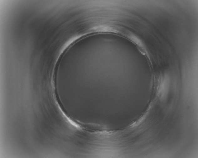 X0000066971141200603241204