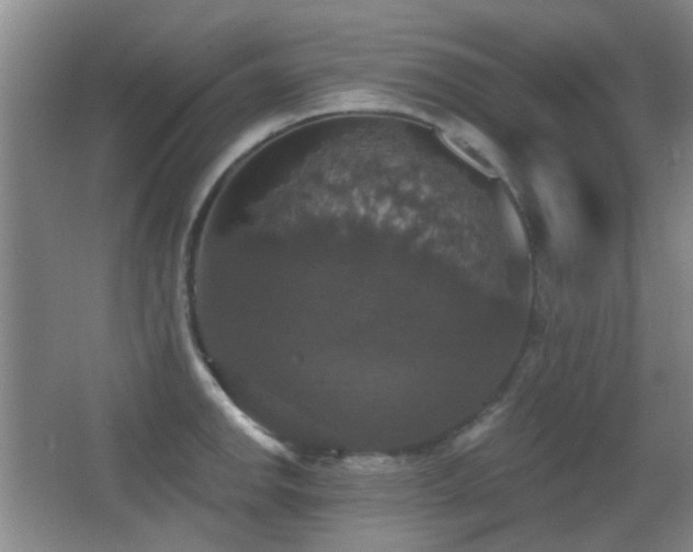 X0000066971142200603241204