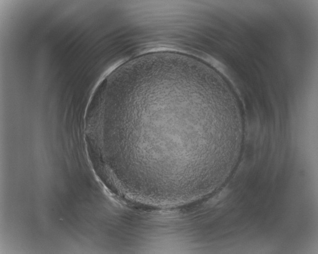 X0000066971145200603241204