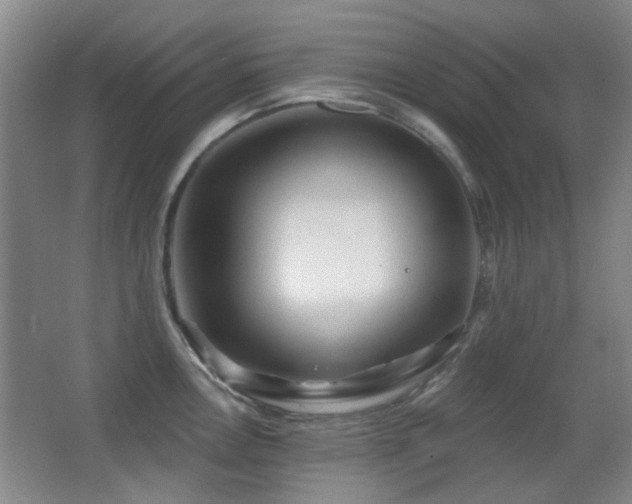 X0000066971146200603241204