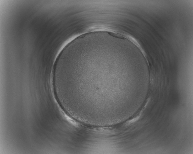 X0000066971149200603241204