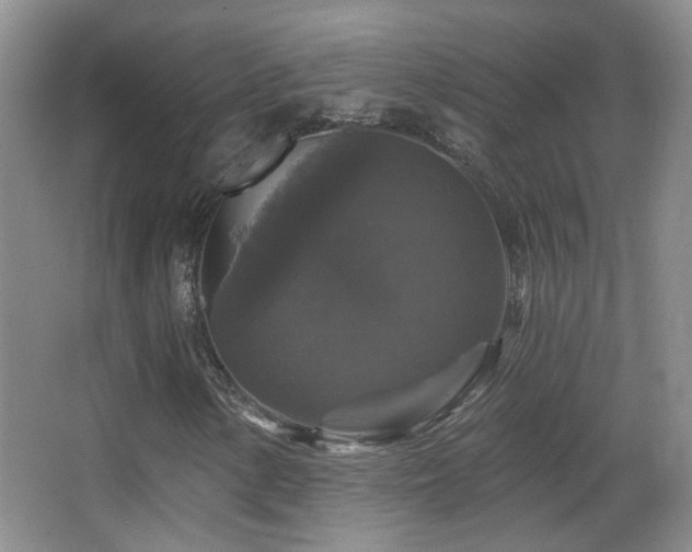 X0000066971154200603241203
