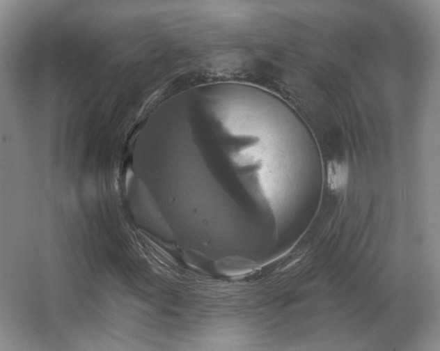 X0000066971155200603241203