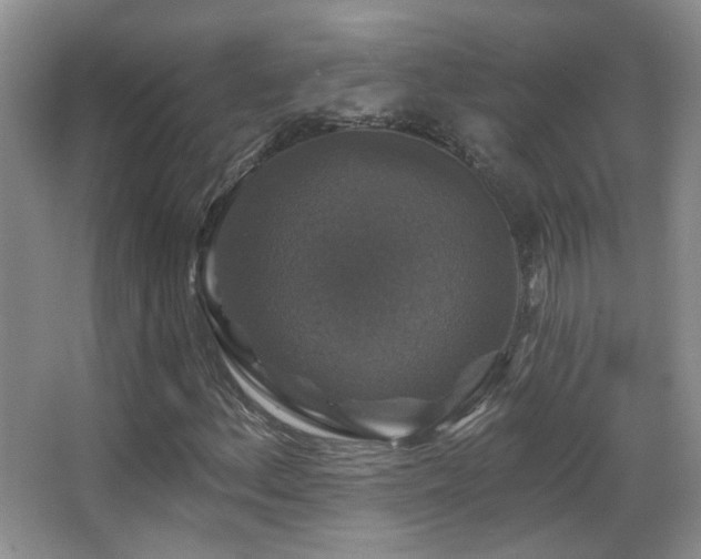 X0000066971156200603241203
