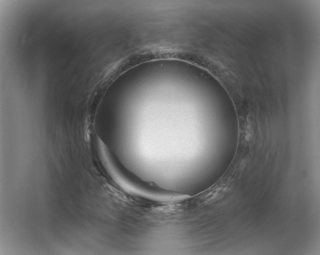 X0000066971157200603241203
