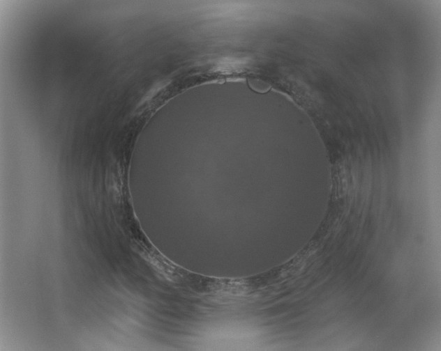 X0000066971158200603241203