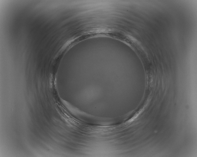 X0000066971161200603241203