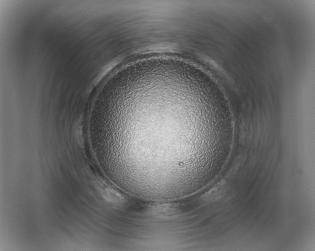 X0000066971162200603241203