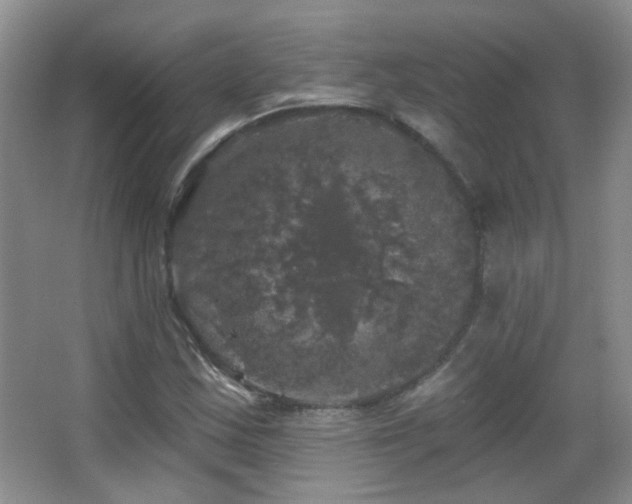 X0000066971163200603241203