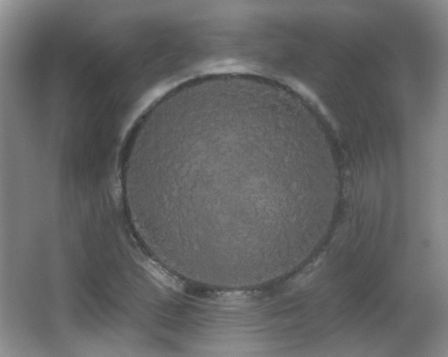 X0000066971167200603241203