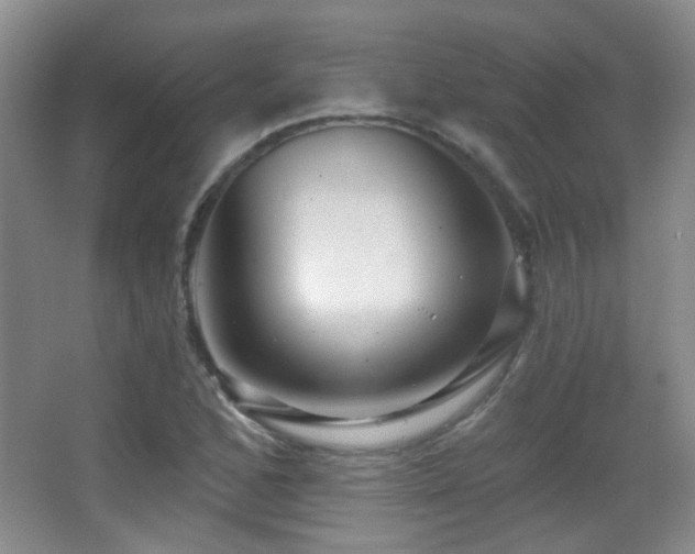 X0000066971168200603241203