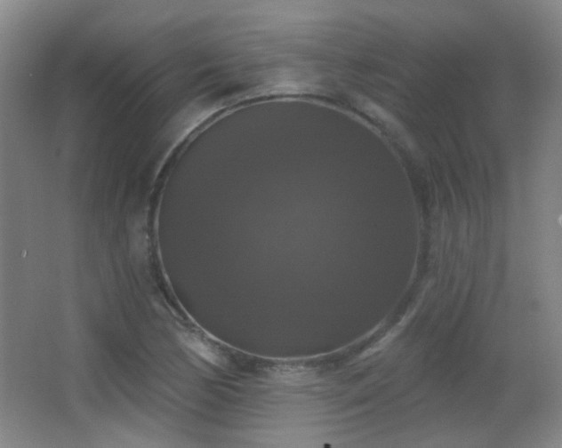X0000066971170200603241203