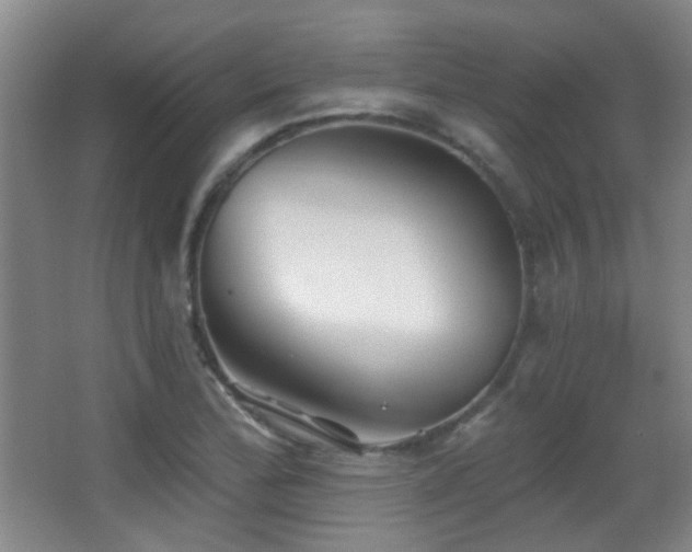 X0000066971172200603241203