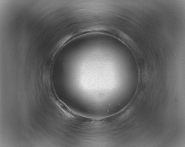 X0000066971177200603241202
