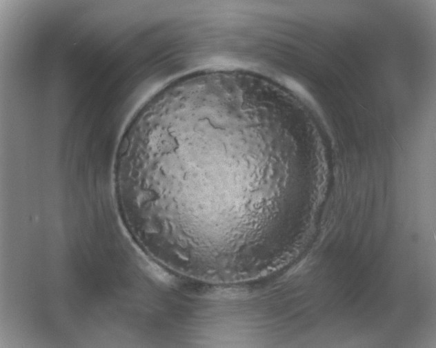 X0000066971183200603241202
