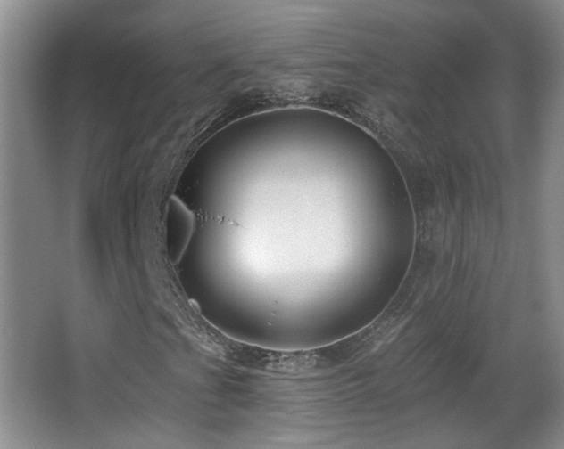 X0000066971201200603241201