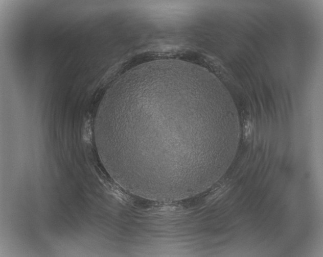 X0000066971204200603241201
