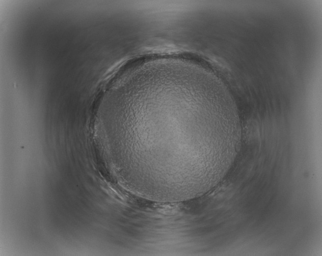 X0000066971205200603241201