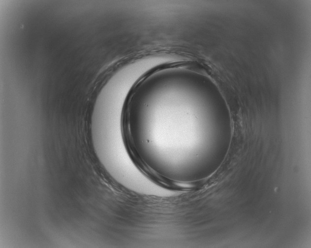 X0000066971206200603241201