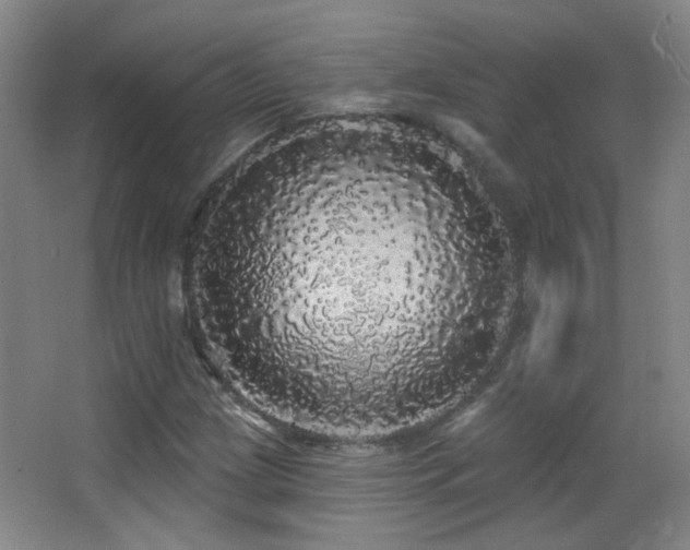 X0000066971209200603241201