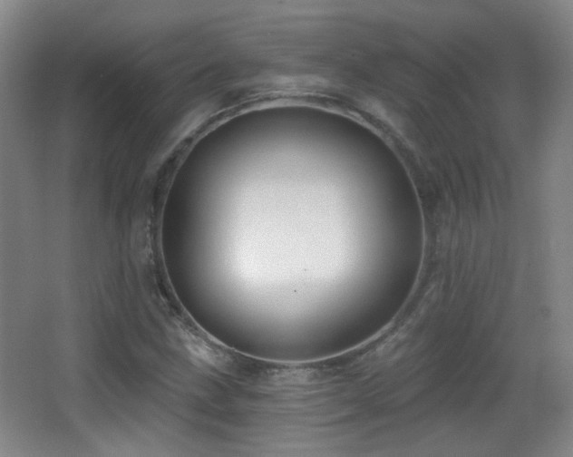 X0000066971211200603241201
