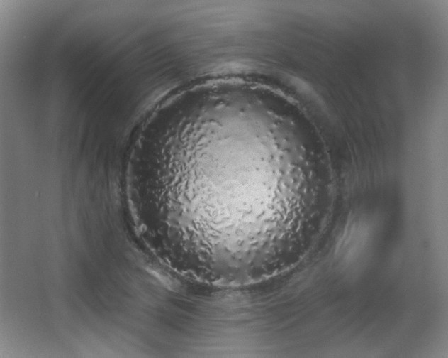 X0000066971217200603241202