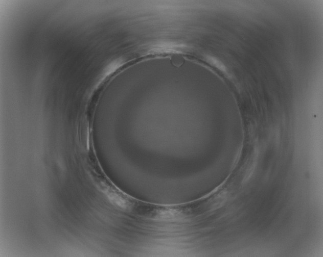 X0000066971219200603241202