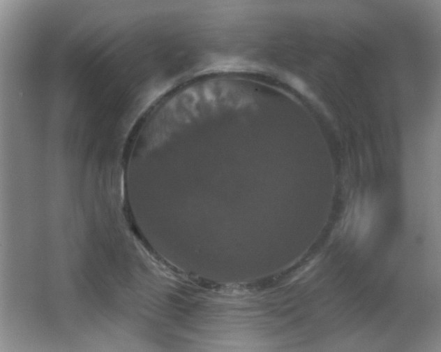 X0000066971221200603241202