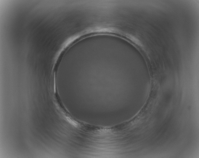 X0000066971223200603241202