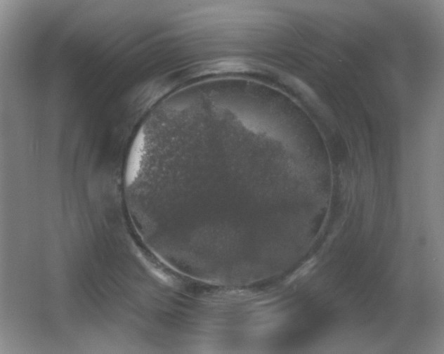 X0000066971225200603241202