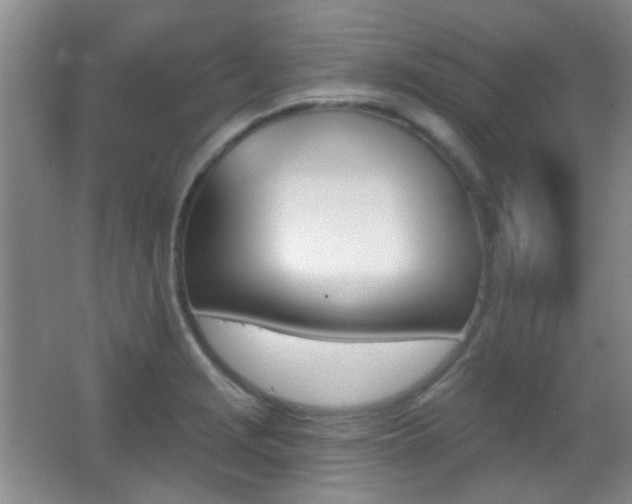 X0000066971229200603241202